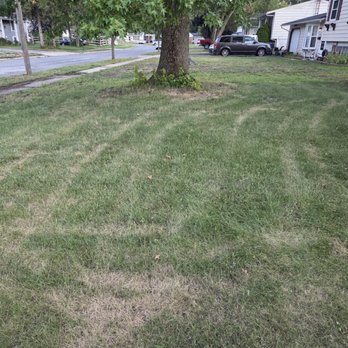 Land Art - Tree Services Near Me - Perrysburg, Ohio Land Art - Tree Services Near Me - Perrysburg, Ohio