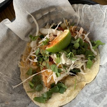 Taco Shack Bar & Grill Stuart - Fresh Catch Mahi Taco - Tacos Near Me - Stuart, Florida Taco Shack Bar & Grill Stuart - Fresh Catch Mahi Taco - Tacos Near Me - Stuart, Florida