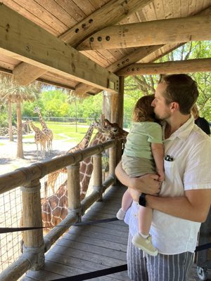 Jacksonville Zoo and Botanical Gardens by null