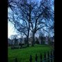 Photo of De Beauvoir Square