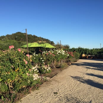 Brix - New American Near Me - Napa, California