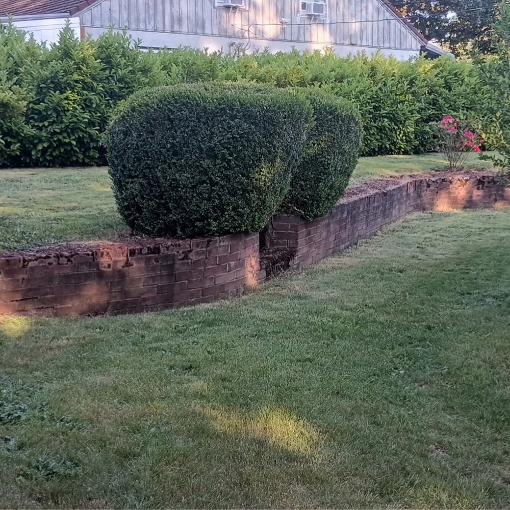 RJ Lawn Maintenance - Lawn mowing service was great! - Lawn Services Near Me RJ Lawn Maintenance - Lawn mowing service was great! - Lawn Services Near Me