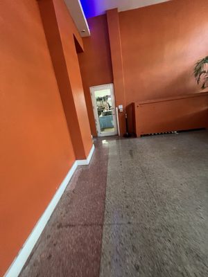 Hotel Breakwater South Beach by null