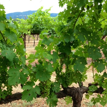 Mumm Napa - Wine Tasting Room Near Me - Rutherford, California Mumm Napa - Wine Tasting Room Near Me - Rutherford, California