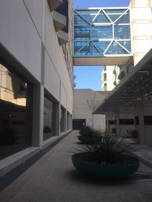 UT Southwestern Medical Center by null