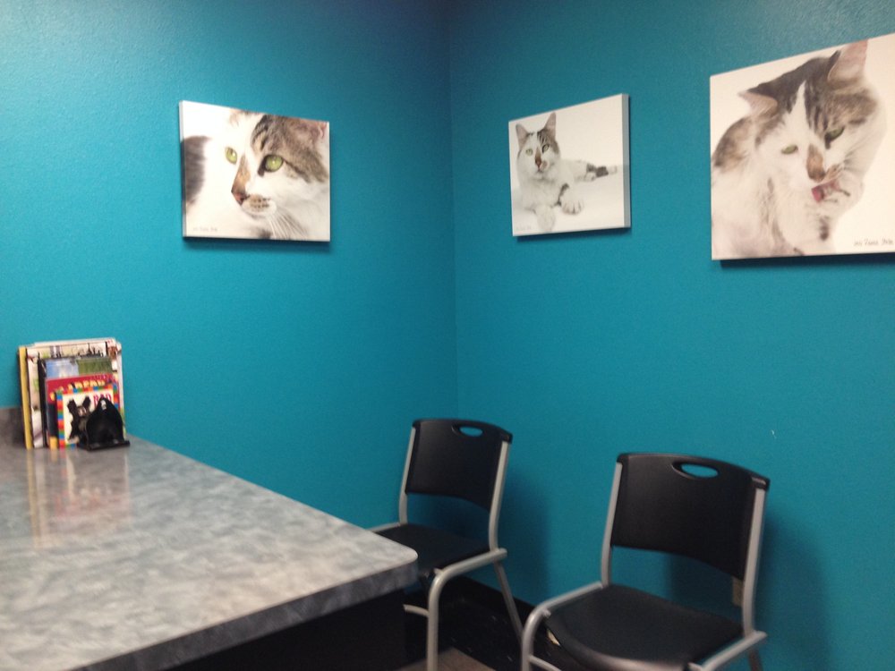 4 PAWS ANIMAL HOSPITAL 13 Photos & 13 Reviews Veterinarians 3630