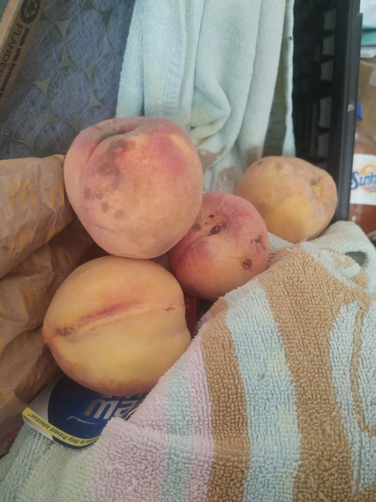 BEASLEY’S FARM MARKET 19 Photos 4001 Indian River Rd, Chesapeake