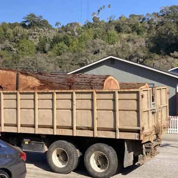 Christianson Tree Experts - The wood after it was cut - Tree Services Near Me