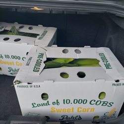 Pahl's Market - Corn today 4 dozen for $15