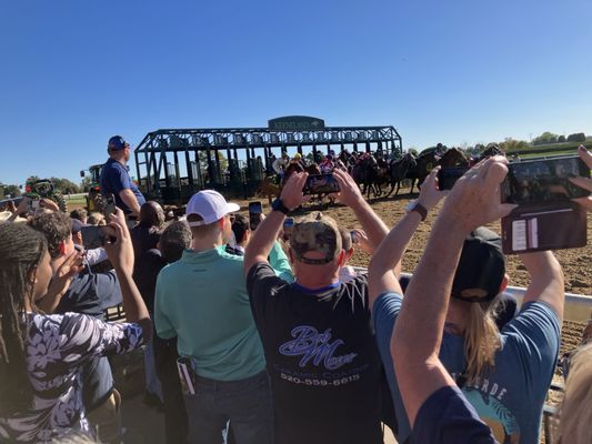 Keeneland Select by null