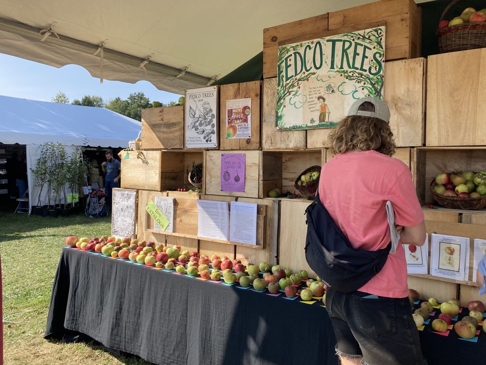 COMMON GROUND FAIR Updated October 2024 68 Photos & 15 Reviews