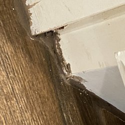 50Floor - Cut cabinets grout uneven and on cabinets