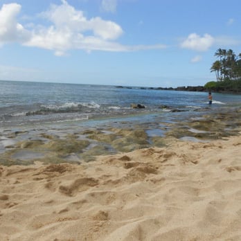 Laniakea Beach - Rocky shoreline - Beaches Near Me - Haleiwa, Hawaii