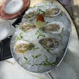 *Oysters *Oysters
