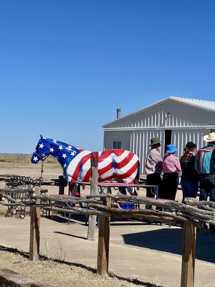 Cowgirls And Cowboys