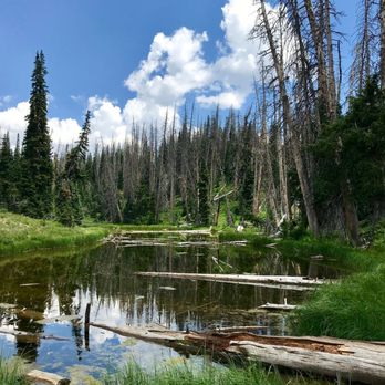 Alpine Pond Trail - The pond - Hiking Near Me - Brian Head, Utah Alpine Pond Trail - The pond - Hiking Near Me - Brian Head, Utah