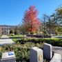 Photo of Mallway Park