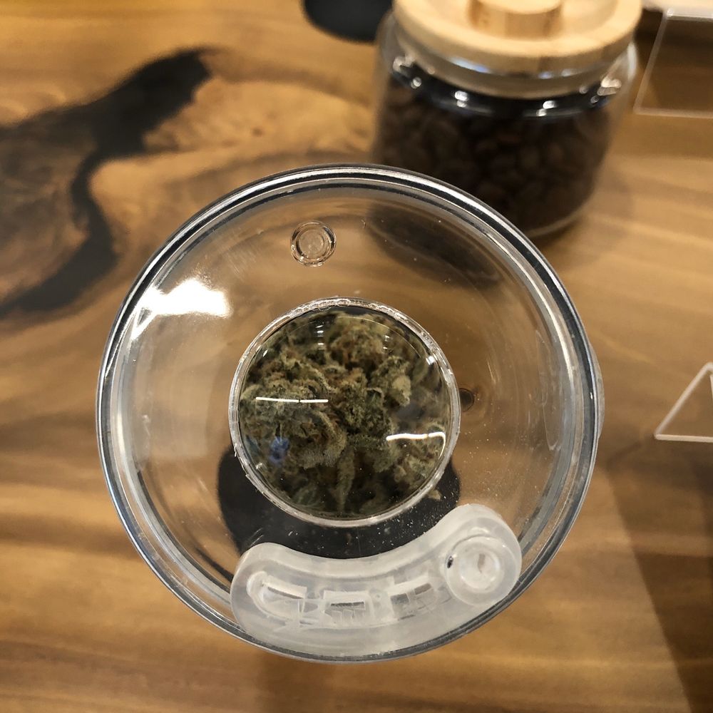 City Cannabis - Marijuana strain - Cannabis Dispensaries Near Me - Vancouver, British Columbia City Cannabis - Marijuana strain - Cannabis Dispensaries Near Me - Vancouver, British Columbia