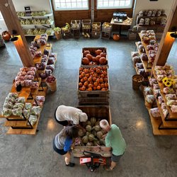 Karnes Orchard - Pumpkins and gourds