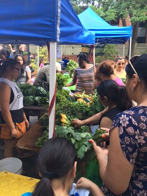 East Boston Farmers' Market by null
