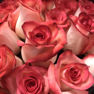 Costco Wholesale by null