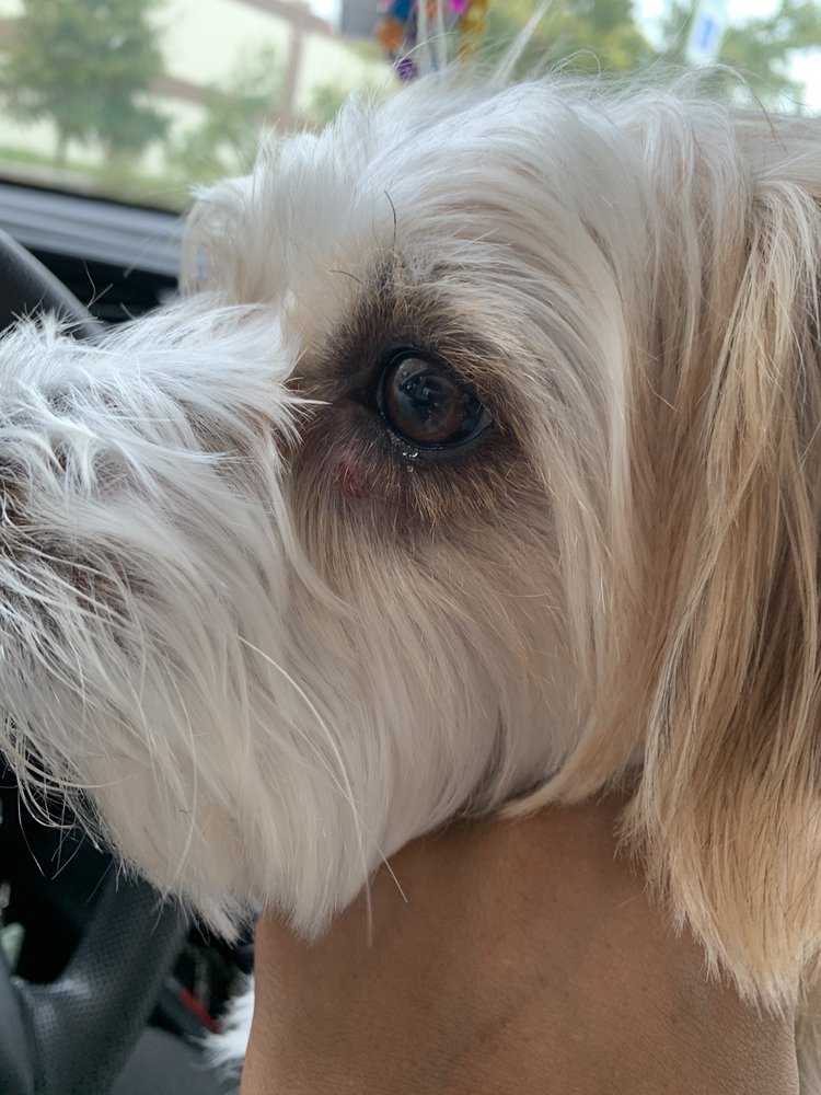 WEBSTERS BED & BONE KENNEL 14 Photos 14464 John Lee Rd, Biloxi, MS