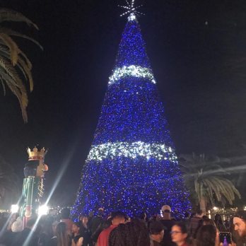 Lake Eola Park - 2019 Christmas Tree- Lake Eola - Parks Near Me - Orlando, Florida