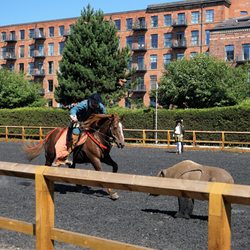 Royal Armouries - Horse Show: Elizabethan Riding Skills at Outside, Tiltyard.