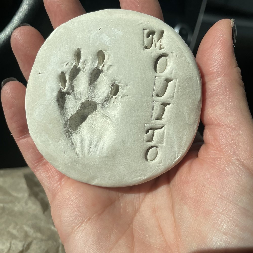 Paw print