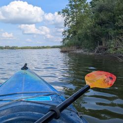 Guelph Lake
