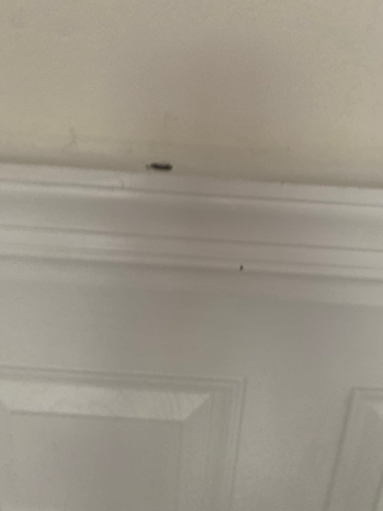 Slide of Armorvue Window & Door