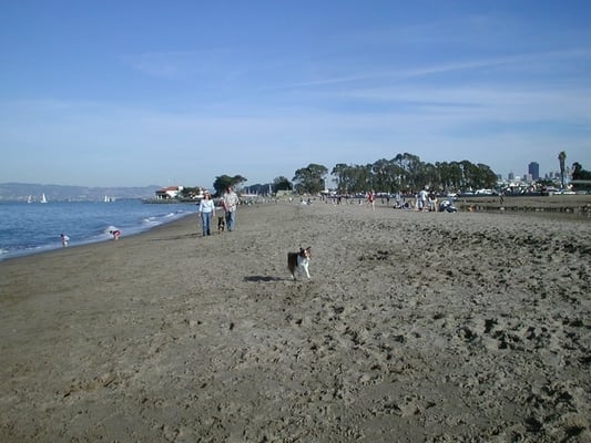 Crissy Field Center by null