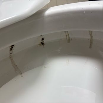 Bronx Center - Dirty toilet had to clean it - Skilled Nursing Near Me - Bronx, New York Bronx Center - Dirty toilet had to clean it - Skilled Nursing Near Me - Bronx, New York