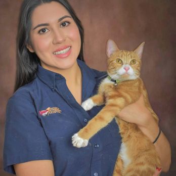 Mission Veterinary Hospital - Veterinarians Near Me - Mission, Texas Mission Veterinary Hospital - Veterinarians Near Me - Mission, Texas