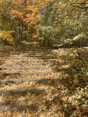 Cherokee Park by null