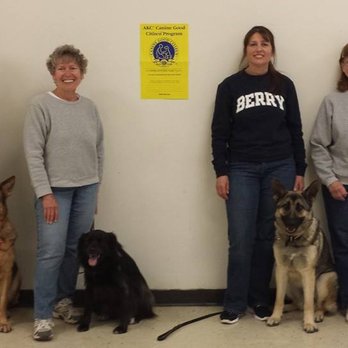 Daisy's Canine Academy - Pet Training Near Me