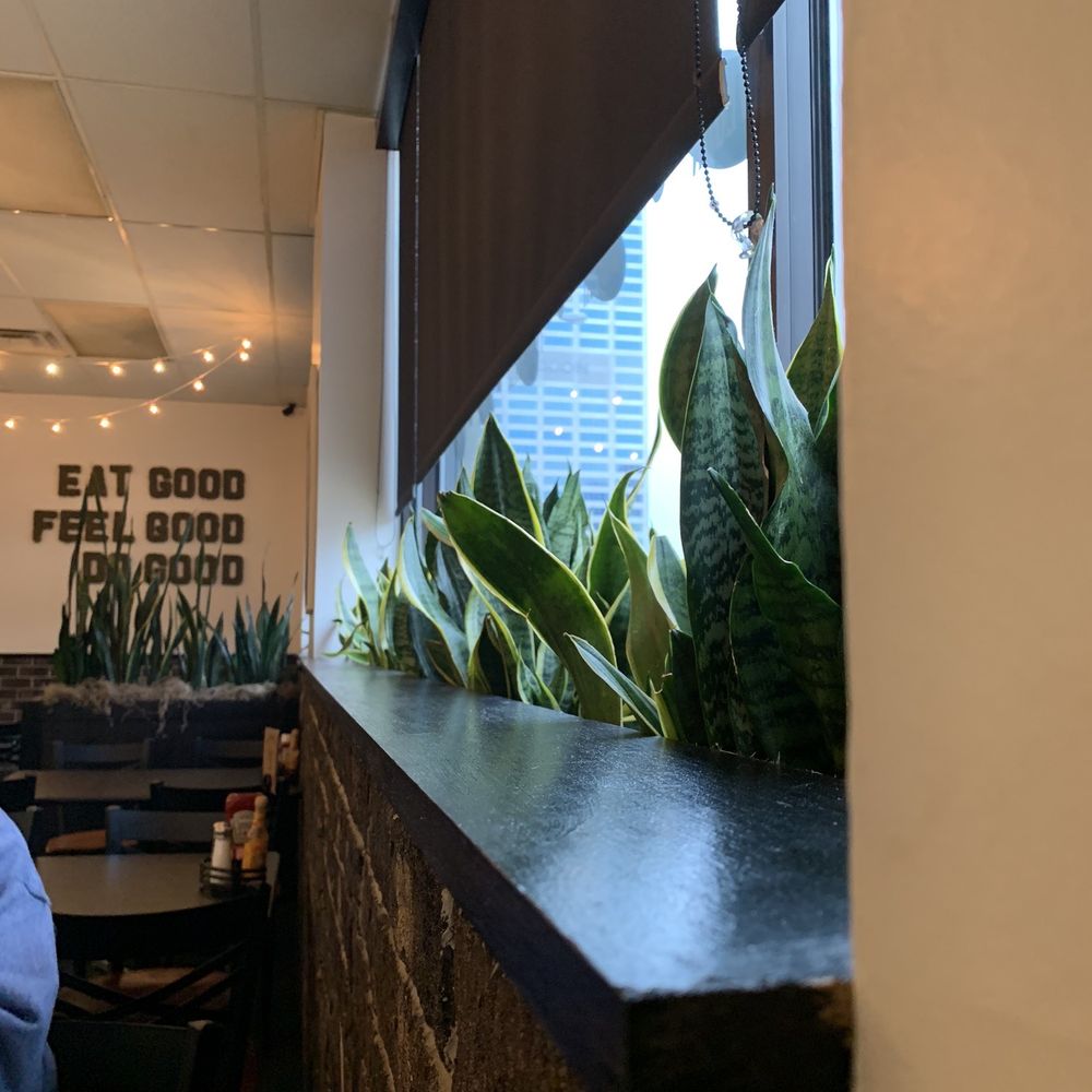 4th & State - Nice plants everywhere! - Vegan Near Me - Columbus, Ohio 4th & State - Nice plants everywhere! - Vegan Near Me - Columbus, Ohio