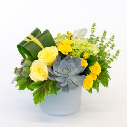 Allen's Flowers & Plants - San Diego