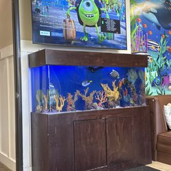 Smile Reef - Office fish tank