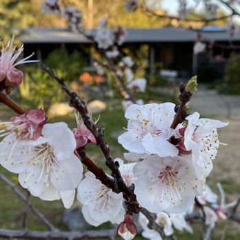 Heare - feng shui and wellness design - Reiki Near Me Heare - feng shui and wellness design - Reiki Near Me