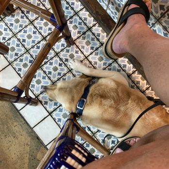 Baresco - Buddy is allowed in as well - Mexican Near Me - Pompano Beach, Florida
