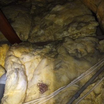 911 Attic Insulation - old insulation - Insulation Installation Near Me 911 Attic Insulation - old insulation - Insulation Installation Near Me