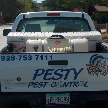 Pesty Pest Control - Pest Control Near Me - Kingman, Arizona Pesty Pest Control - Pest Control Near Me - Kingman, Arizona