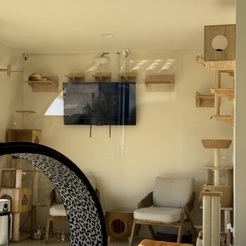 The Caffeinated Cat Cafe - Coffee & Tea Near Me - Grover Beach, California