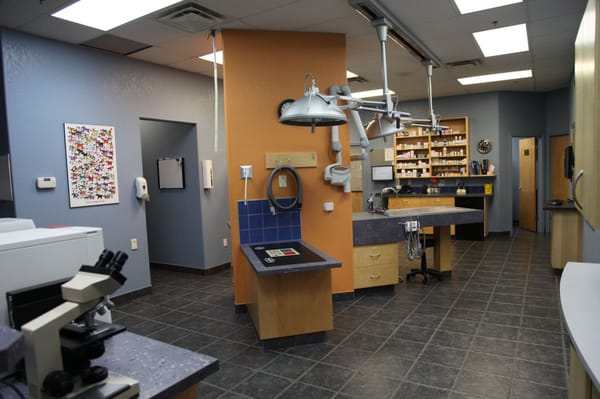 cat and dog hospital red deer