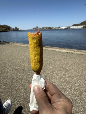 Pronto Pups by null