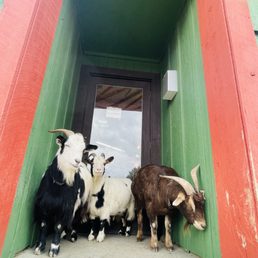 The door greeters