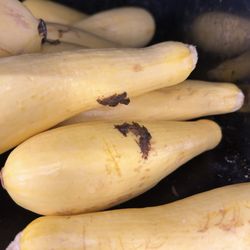 Stop & Shop - Dirty off color squash in produce