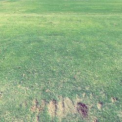 Stoney Creek Golf Course