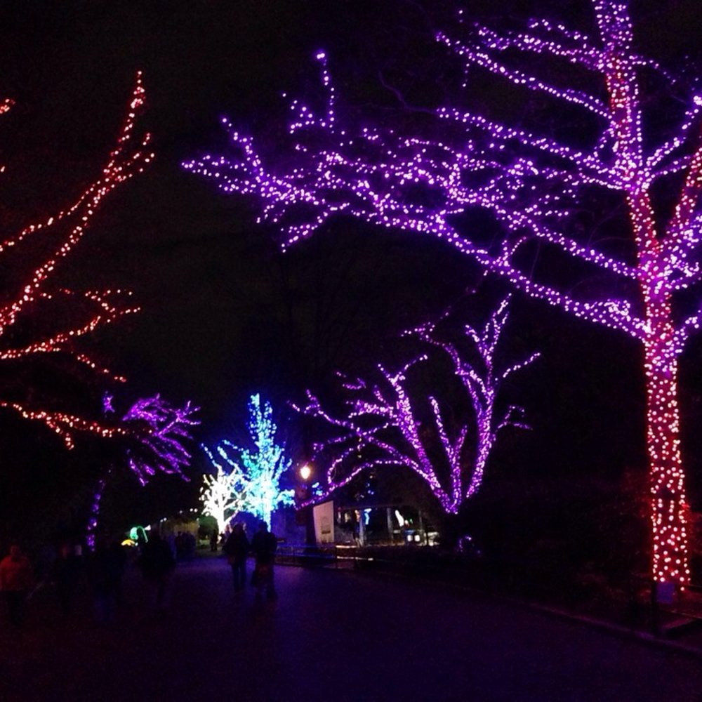 ZooLights - ZooLights - Zoos Near Me - Washington, DC, District of Columbia